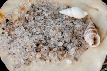 Sea salt and shallow seashells on a black background