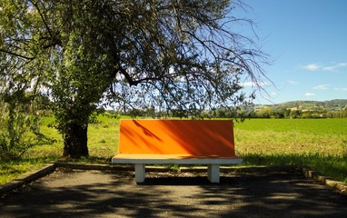 The orange isolated bench (Urbino, Italy)