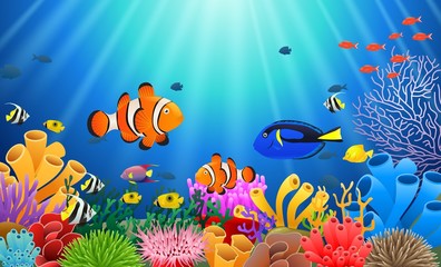 Clown fish under the sea. Vector illustration