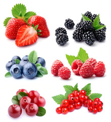 Set of berry. © margo555