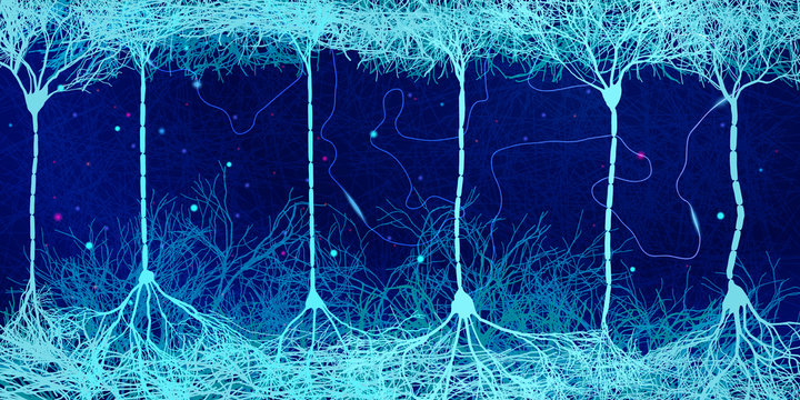 Neuron Cells Forming Net