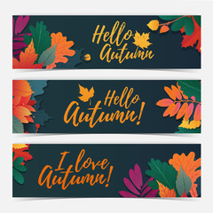 Templae dark blue design for special hello autumn season.  Horizontal banner with autumnal nature, leaf decoration. With fall logo. Vector