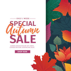 Template design discount banner for autumn season. Poster for special fall sale with flower, lleaf decoration. Layout for autumnal offer on natural, floral background. Vector 