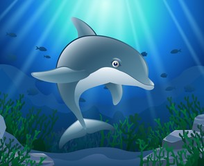 Cartoon dolphin with Coral Reef Underwater in Ocean. Vector illustration
