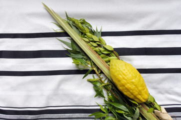 The Four Species on Talit