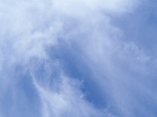 爽やかな秋雲