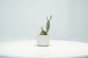 Cactus in white pot on round white modern table in house.