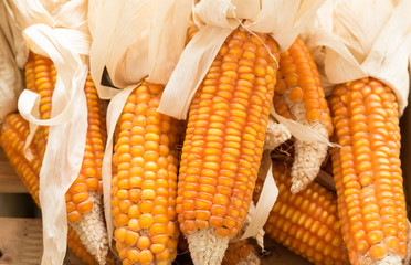 Corns in a basket.