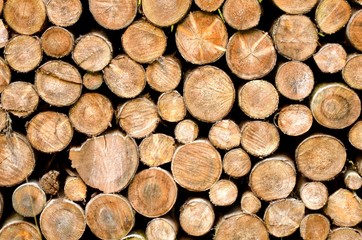 Abstract photo of a mixture of symmetric pile of natural wooden logs background, top view.