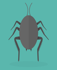 Cockroach icon