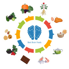Brain Foods infographics