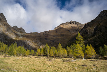 I colori dell'autunno