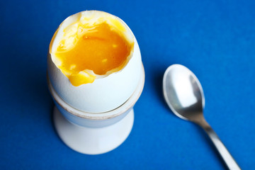 The boiled egg in the egg stand