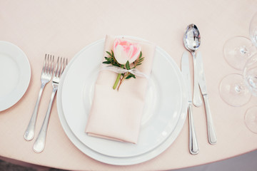 Pink tulip lies on serviette on a dinner plate