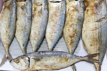Thai mackerel fish backgroung