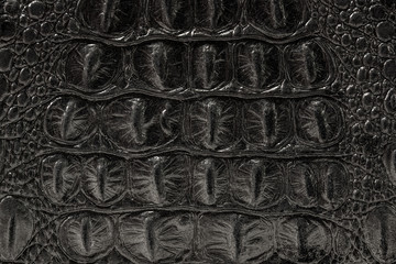 the texture of the skin is gray