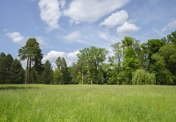 scales landscape warm day