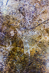 Heavily Textured and Distressed Wood Background Image