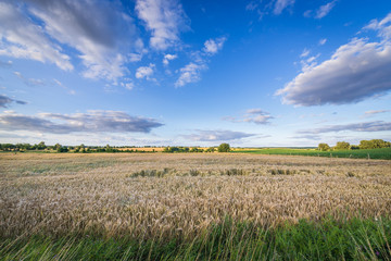 Rural landscape in West Pomerania region in Poland