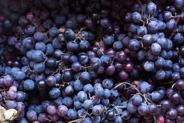 Black grapes