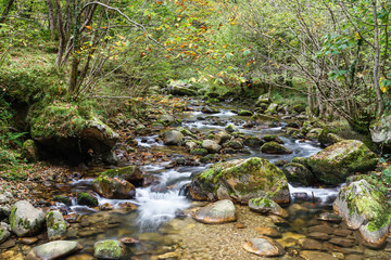 Obraz premium Río Alba. Ruta del Alba. Parque Natural de Redes, Asturias, España. 