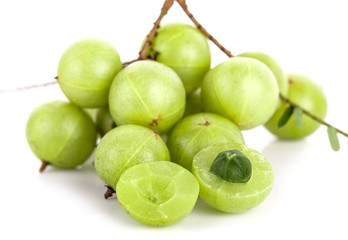Indian Gooseberry on white background