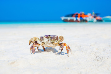 Krabi,thailand