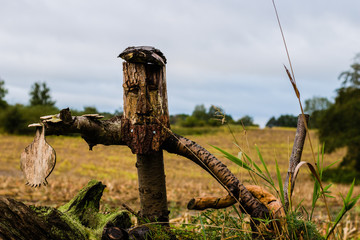 wooden carves skulture in a field