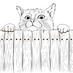 A cat on a fence. Background for advertising or inscriptions.Vector illustration.