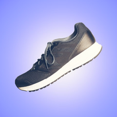 Single canvas and leather sneaker or trainer