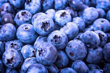 A blueberries close-up
