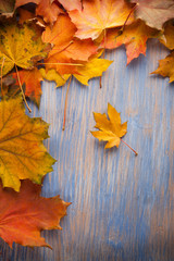 Naklejka na ściany i meble autumn leaf on blue wood background (top view)