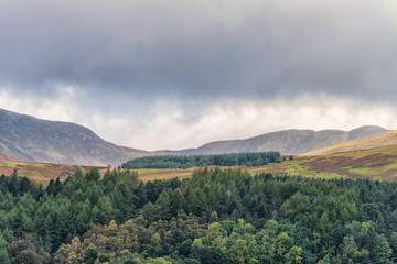 Scottish Hilldide above Crieff in Scotland before it rained