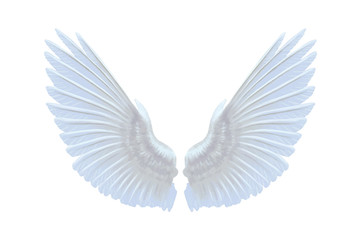 Obraz na płótnie Canvas vector wings