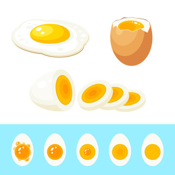 Set of cooked eggs: fried egg, hard boiled sliced egg, soft boiled egg in eggshell. Stages of readiness boiled egg. Vector illustration cartoon flat isolated icon collection.