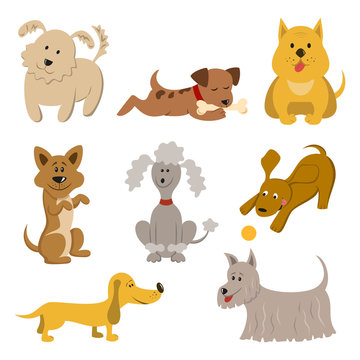 Set of funny cartoon dogs on white background.