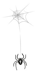 Spinne, Kreuzspinne im Spinnennetz (Araneus) abstrakte Zeichnung, vektor Silhouette