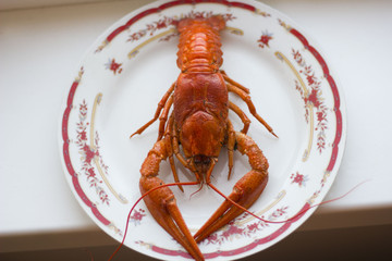 Boiled cancer on a plate