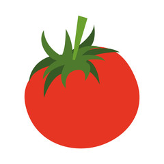 tomato fruit icon image vector illustration design 