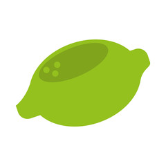lime fruit icon image vector illustration design 