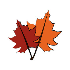 Naklejka premium fall leaves icon image vector illustration design 
