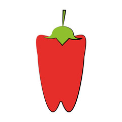 bell pepper vegetable icon image vector illustration design 