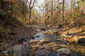 Autumn landscape, forest and stream