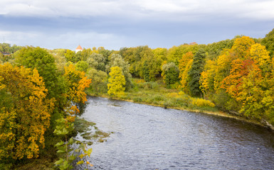 autumn background with colored leaves of the tree and river in background