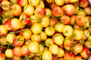 Tasty yellow cherries have arrived