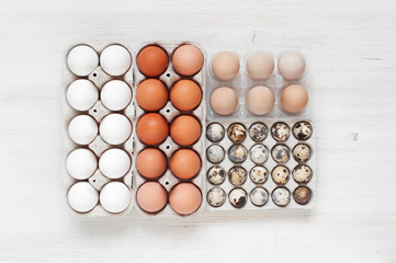 Some types of eggs in the packages