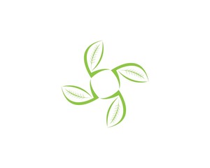 Fototapeta na wymiar Nature leaf icon design template