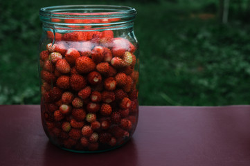 Still summer strawberries