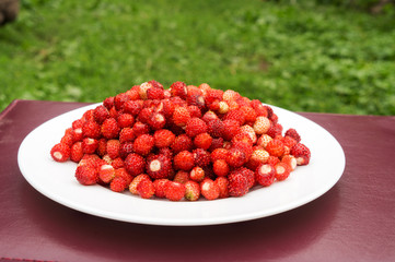 Vegetarian Strawberry Food