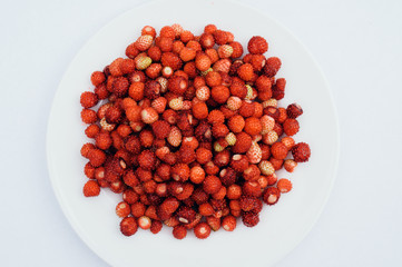 Still summer strawberries